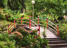 Baguio Botanical Garden in Baguio