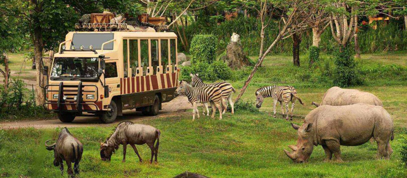 Bali Zoo