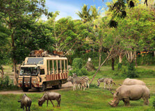 Bali Zoo in Denpasar
