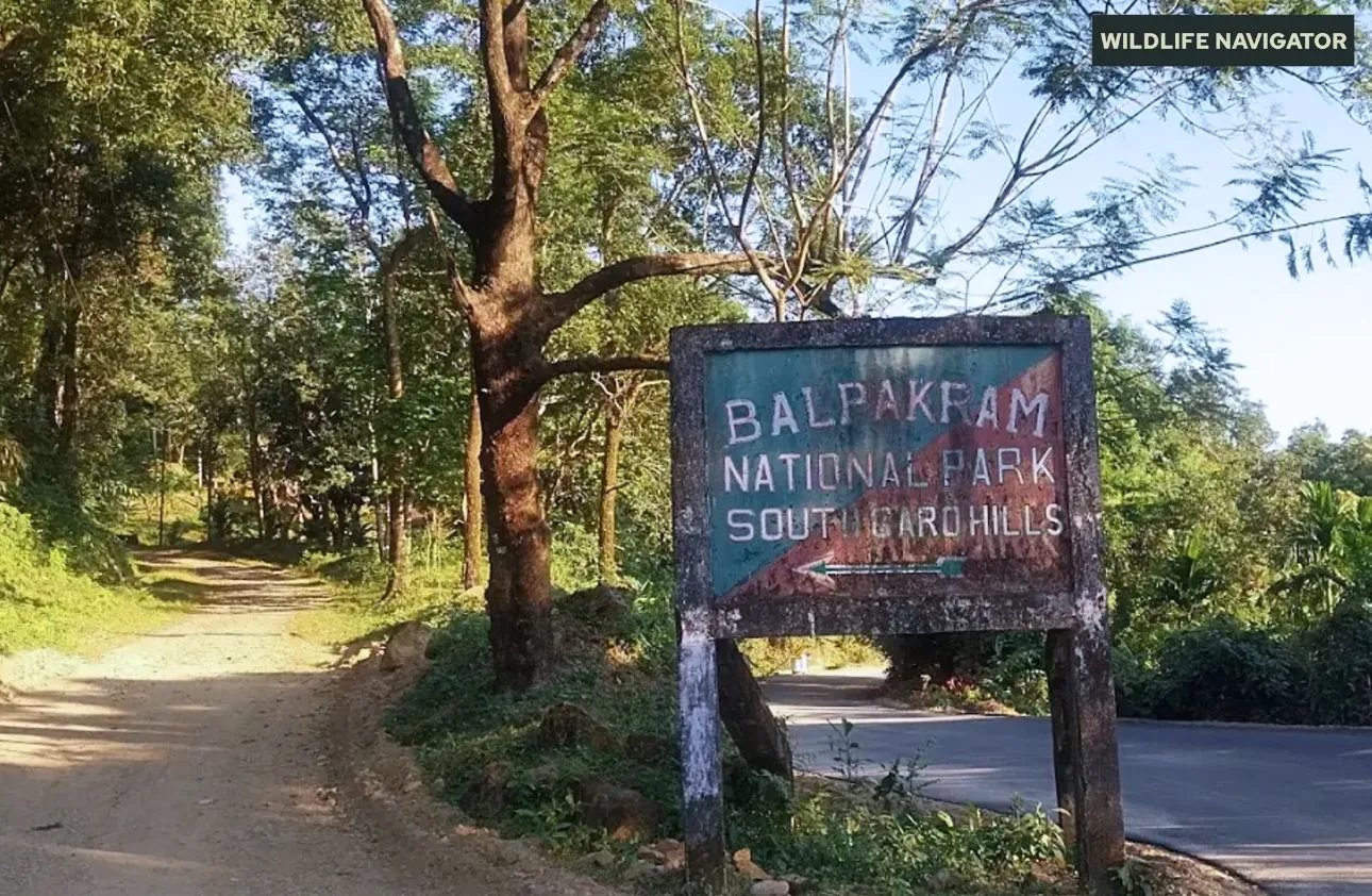 South Garo Hills