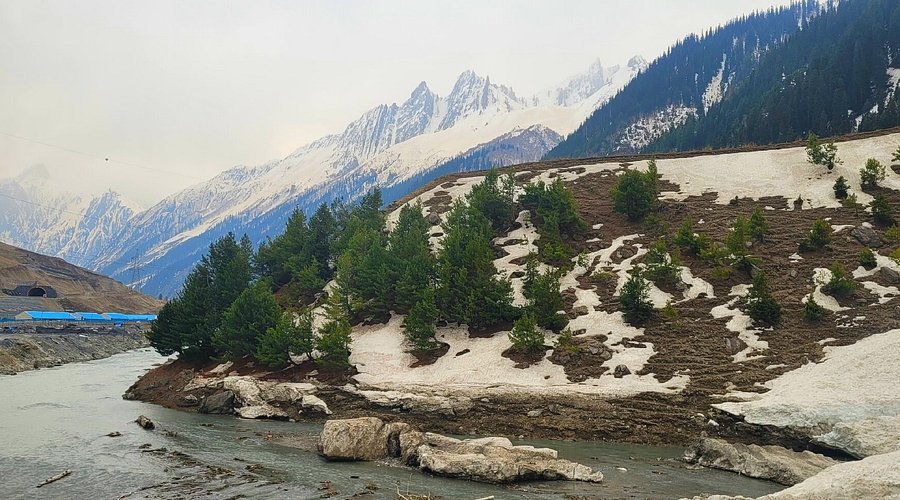 Baltal