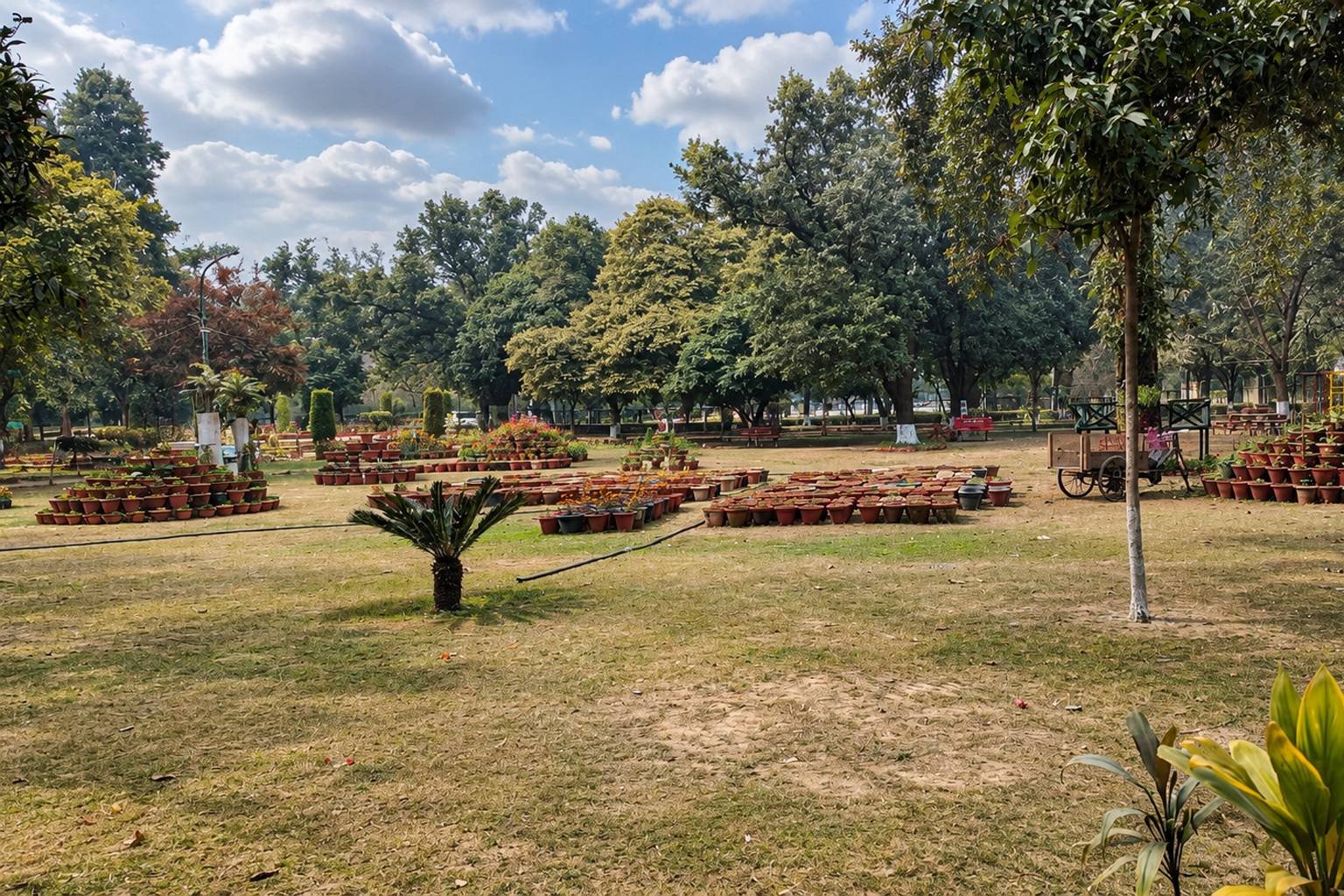 Baradari Gardens