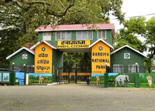 Bardiya National Park in Lumbini
