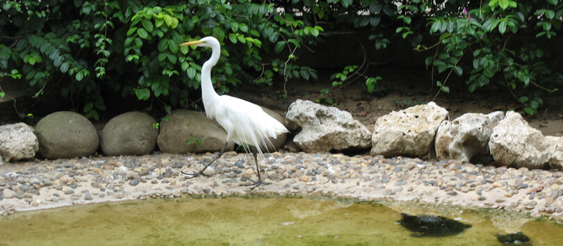 Barranquilla Zoo