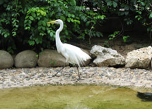 Barranquilla Zoo in Barranquilla