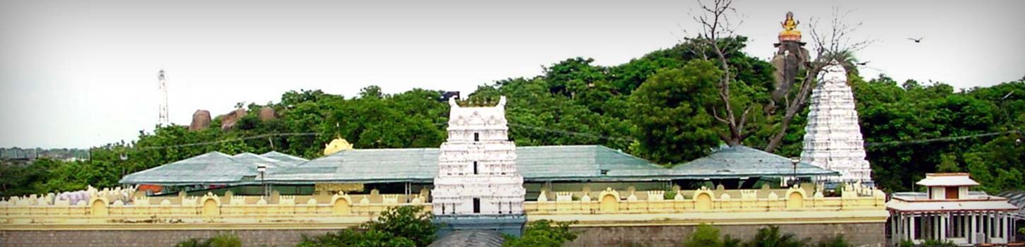 Basar Saraswati Temple