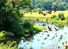 Bashkhali Eco Park in Chittagong