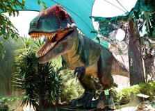 Bayworld Museum in Port Elizabeth