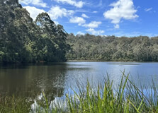Beedelup National Park in Perth