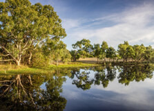 Belair National Park in Adelaide
