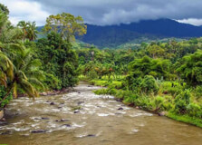 Berbak National Park in Sumatra