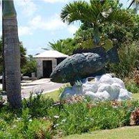 Bermuda Aquarium, Museum and Zoo (BAMZ) in Flatts Village