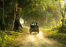 Bherjan-Borjan-Padumoni Wildlife Sanctuary in Tinsukia