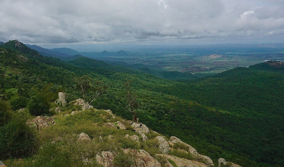 Biligiriranga Hills in Chamarajanagar