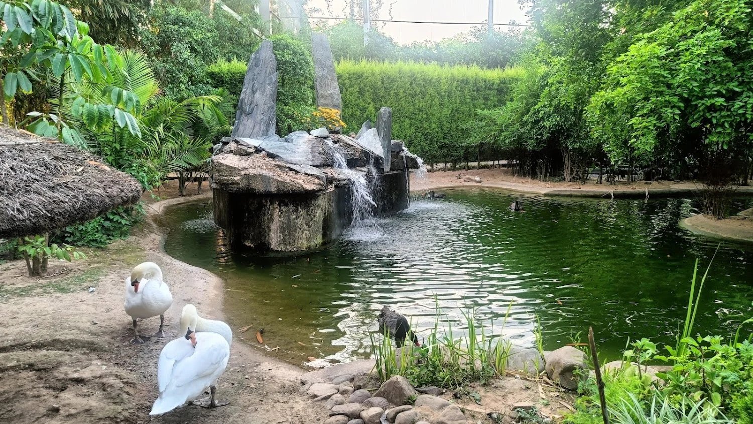 Bir Shikargah Wildlife Sanctuary in Pinjore