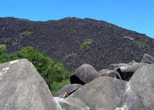 Black Mountain National Park in Brisbane