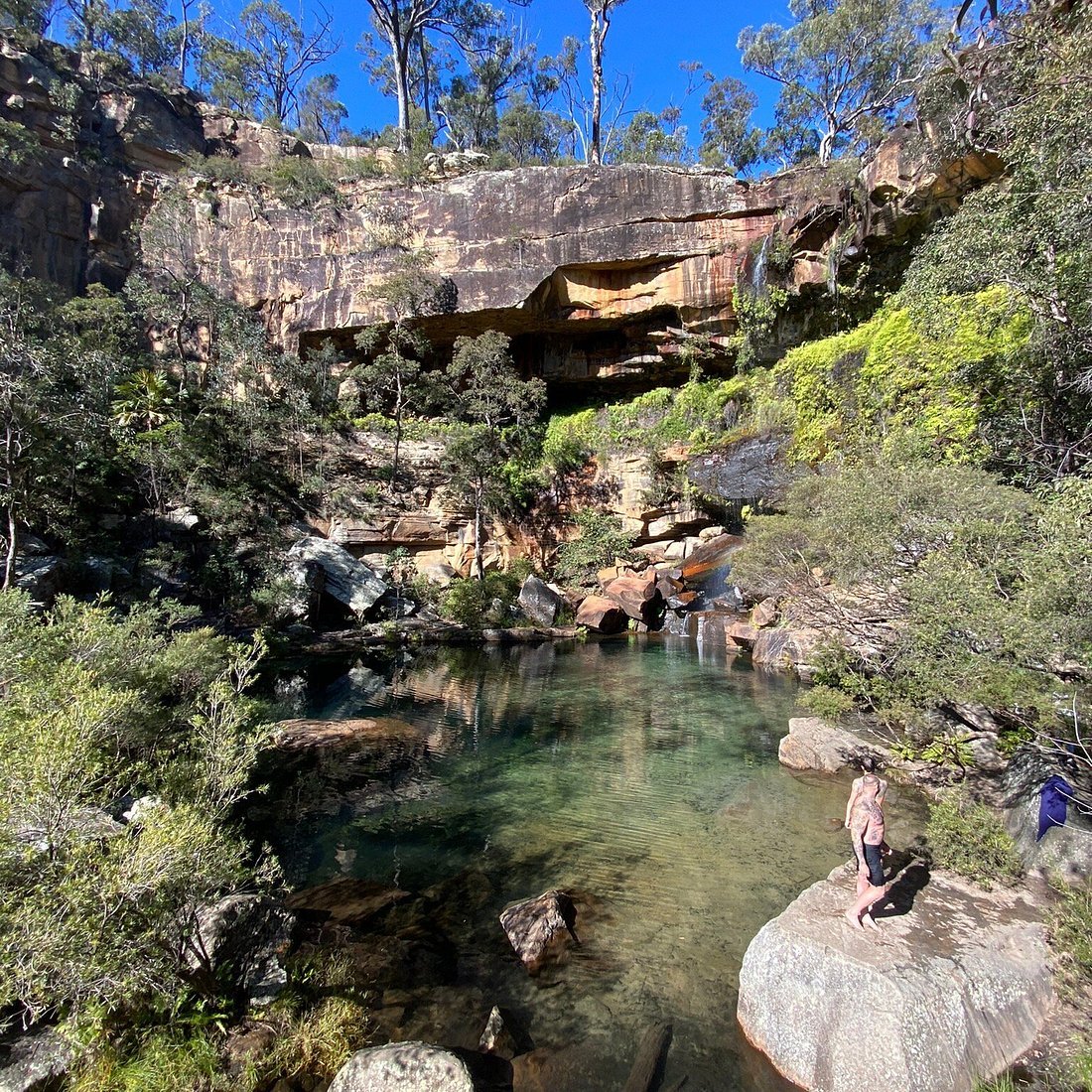 Blackdown Tableland National Park in Brisbane