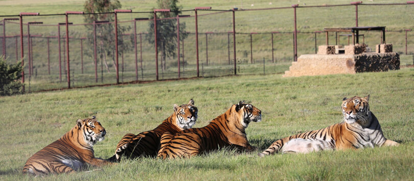 Bloemfontein Zoo