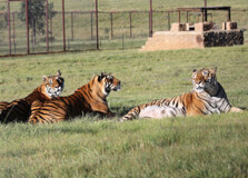 Bloemfontein Zoo in Bloemfontein