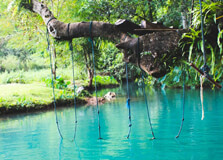 Blue Lagoon in Vang Vieng