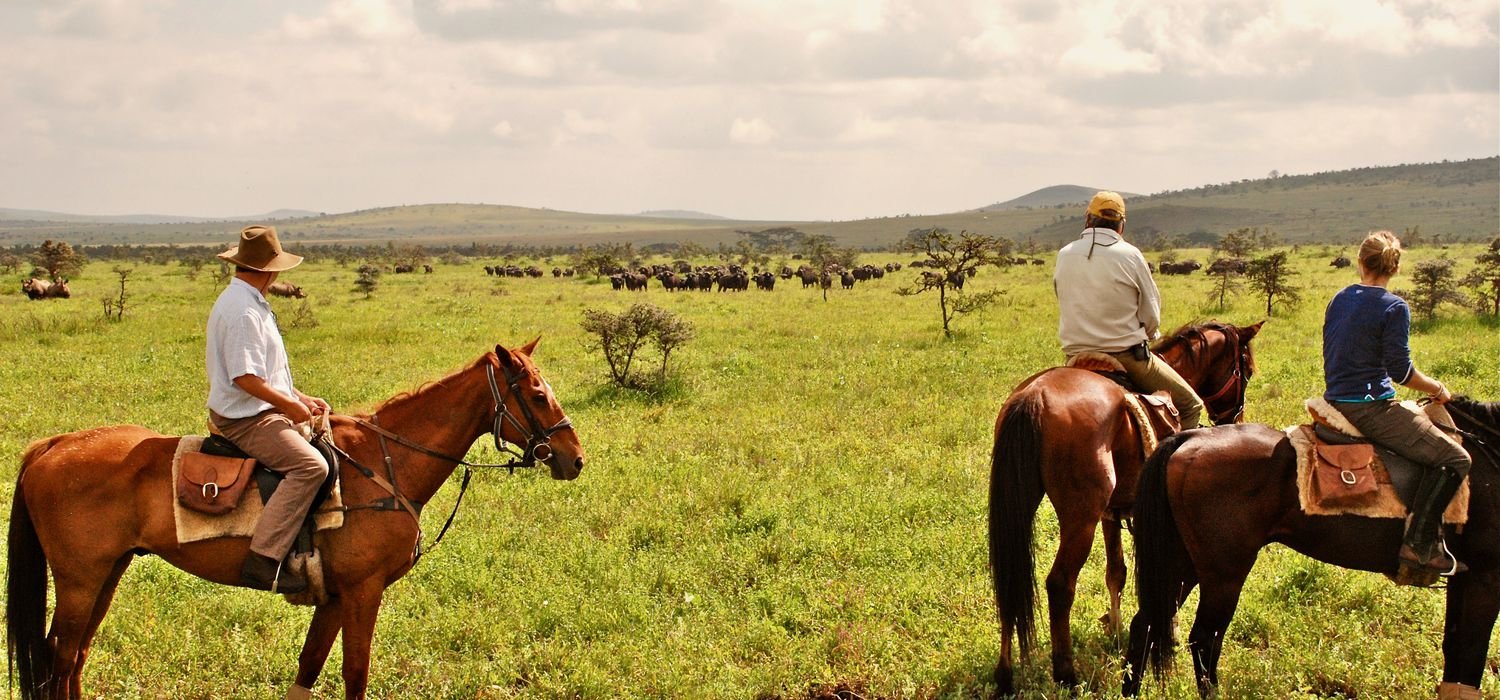 Borana Horse Safari in Borana