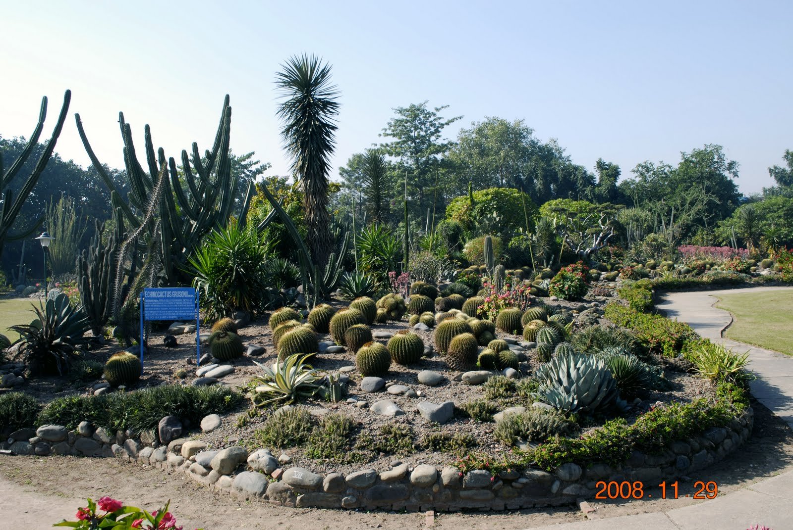 Botanical Garden in Chandigarh