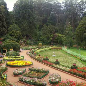 Botanical Garden