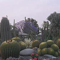 Botanical Garden in Chandigarh