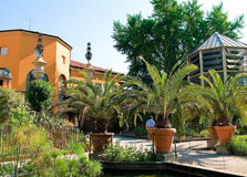 The Botanical Garden of Padova in Padova