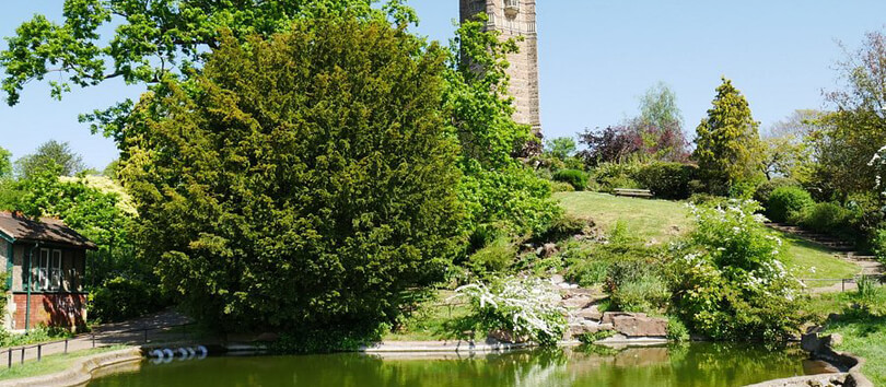 Brandon Hill and Cabot Tower