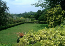 Brief Garden in Bentota