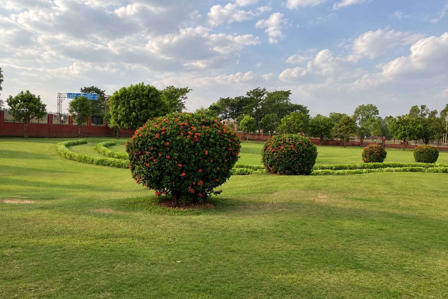 Buddha Garden
