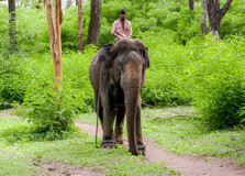 Bumdelling Wildlife Sanctuary in Samdrup Jongkhar