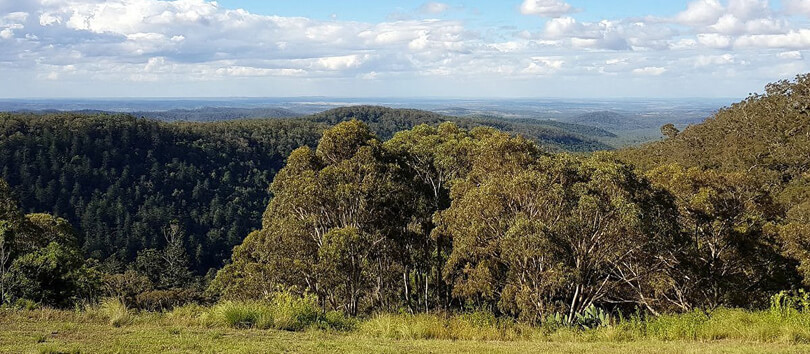 Bunya Mountains National Park
