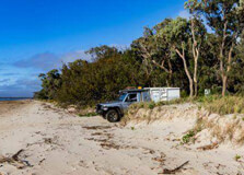 Burrum Coast National Park in Brisbane