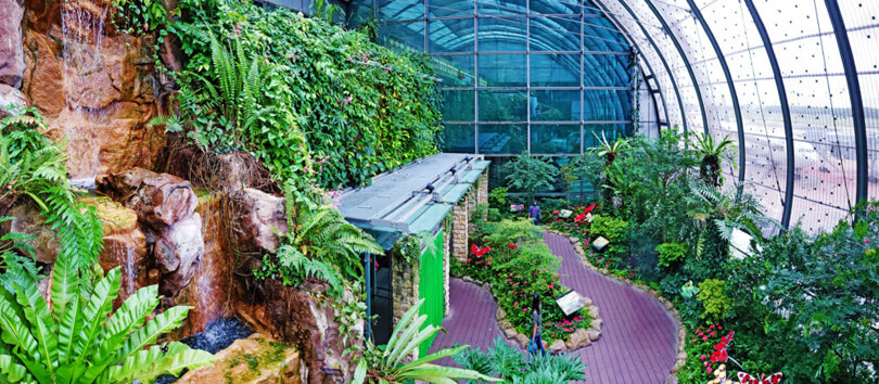 Butterfly Garden
