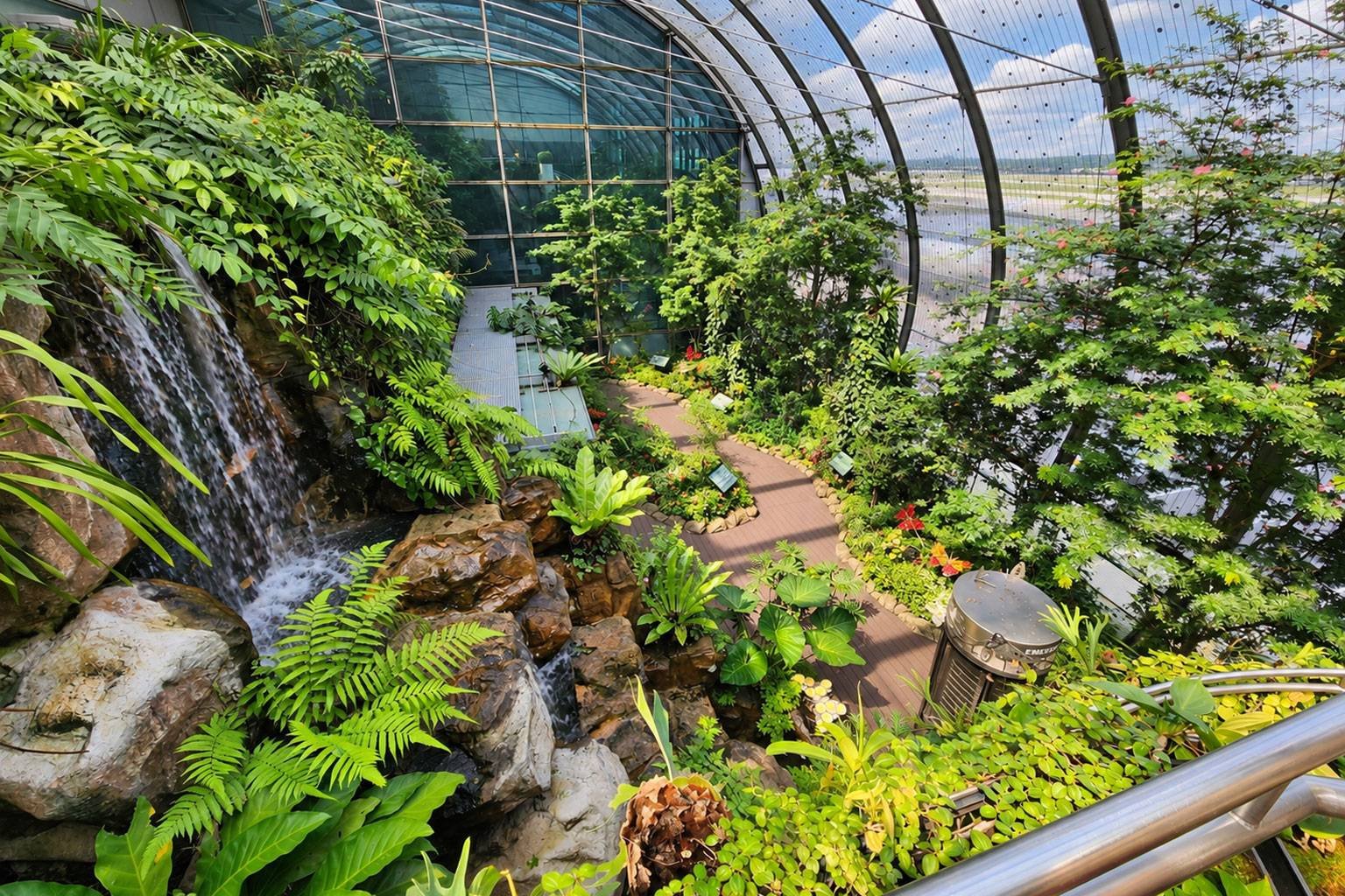 Butterfly Garden