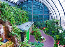 Butterfly Garden in Changi