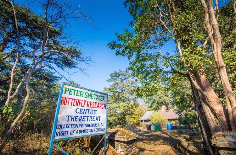 Butterfly Research Center in Bhimtal
