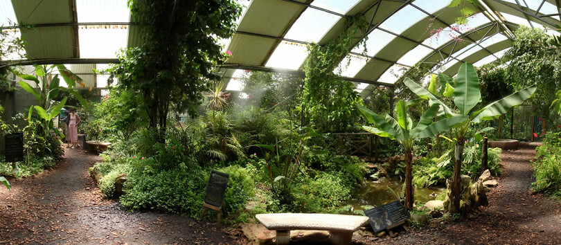 Butterfly World