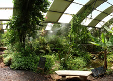 Butterfly World in Stellenbosch