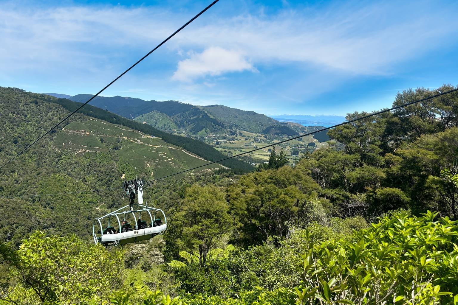 Cable Bay Adventure Park