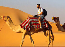 Camel Safari in Abu Dhabi