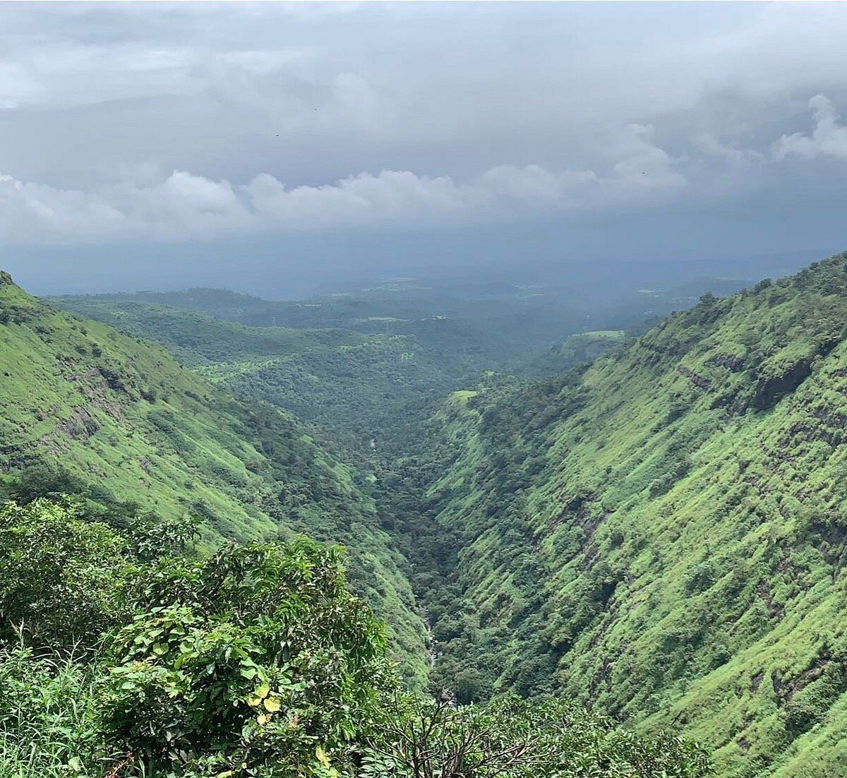 Camel Valley in Igatpuri