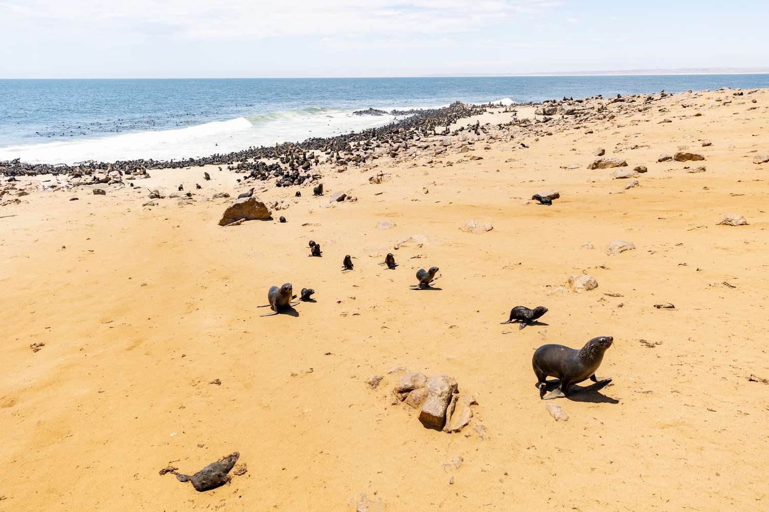 Best Places to Visit in Namibia