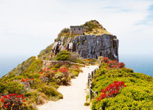 Cape Recife Nature Reserve in Gqeberha