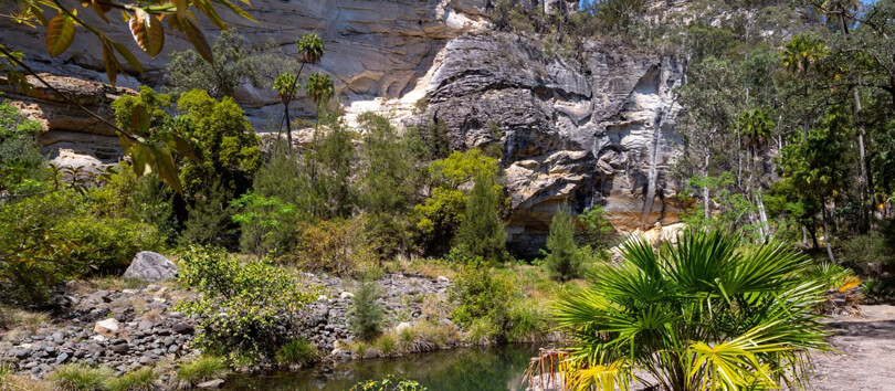 Carnarvon National Park