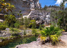 Carnarvon National Park in Brisbane