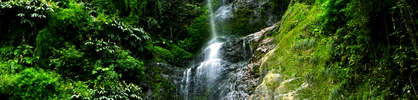 Chadwick Waterfalls