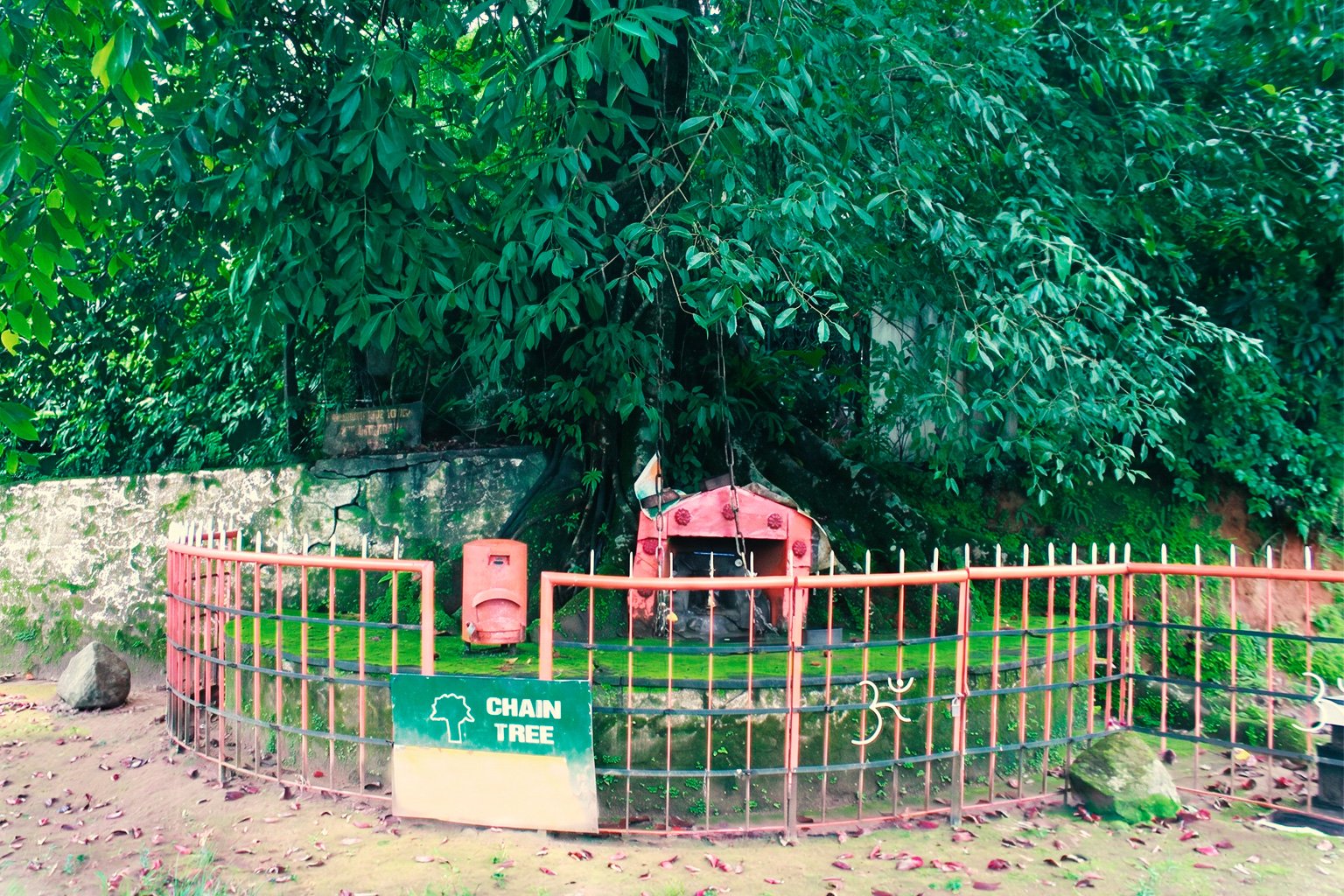 Chain Tree